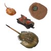 Zerodeko Horseshoe Crab Simulated Sea Life Animals Figurines Realistic Sea Creature Model Action Figure for Collection 1 Set