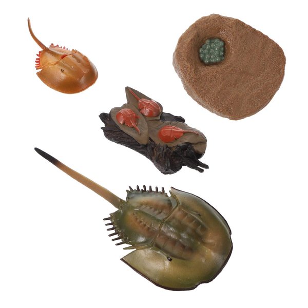 Zerodeko Horseshoe Crab Simulated Sea Life Animals Figurines Realistic Sea Creature Model Action Figure for Collection 1 Set