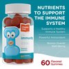 Zahler - Chapter One Immune Support Gummies for Kids with Vitamins C, Zinc & Black Elderberry (60 Flavored Gummies) Kosher Immunity Vitamin C & Elderberry Gummies for Kids & Adults - Made in USA