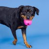 Fringe Studio "You're A Hoot HOT Pink Rubber Dog Toy, Pet Shop Collection (518045)