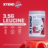 Xtend XTEND Original BCAA Powder Airheads Candy Flavor, 7g BCAA and 2.5g L-Glutamine, Sugar Free Post Workout Muscle Recovery Drink with Amino Acids for Men & Women, 30 Servings