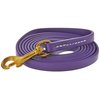 J&J Dog Supplies Biothane Dog Leash, 1/2" Wide by 6' Long, Purple