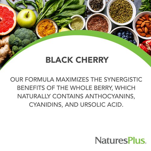 NaturesPlus Herbal Actives Black Cherry, Extended Release - 750 mg Anthocyanins, 30 Vegetarian Tablets - 30 Servings