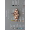 Faship Gorgeous Champagne Rhinestone Crystal Floral Hair Barrette Clip