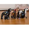 Schleich Horse Club Sofia's Beauties, Knabstrupper Stallion Beauty Horse with Brushable Hair - 8pc Styling Horse Figurine and Playset Accessories for Boys and Girls, for Kids Ages 4+