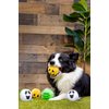 Midlee Silly Face Halloween Balls Plush Dog Toy
