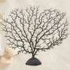 Piutouyar 2Pcs Sea Fan Coral Decorations, Black Simulation Sea Coral Branch for Aquarium Ornament Fish Tank Landscape (11.8inch+6.7inch)