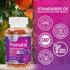 Prenatal Vitamins for Women with Folic Acid 1335mcg, Fetal Support Prenatal Multivitamin and Mineral Gummy, Vitamin A, C, D3, B12, B6 & Folate for Pregnant & Nursing Women - 120 Gummies, 60 Day Supply