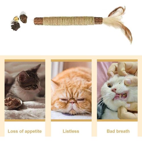 Silvervine Sticks for Cats,Natural Catnip Chew Toys for Kittens Teeth Cleaning, Cat Chew Toy for Dental Care,Cat Chew Sticks for Chewers,Edible Matatabi Cat Chew Sticks Toys Cat Toys Indoor