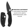 Spyderco Tenacious Lightweight Folding Utility Pocket Knife with 3.39" Black Stainless Steel Blade and Black FRN Handle - Everyday Carry - PlainEdge - C122PBBK