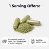 Paradise ORAC Energy Greens Powder Extract, Super Antioxidants, Probiotics for Gut Health & Digestion, Vitamin C for Immunity, with Spirulina & Chlorella, Non-GMO, Gluten Free, 120 Capsules