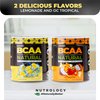 Nutrology BCAA Natural, Plant Based BCAA Powder, Lemonade Flavor, Optimized 2:1:1 Ratio Amino Acids Powder, Post Workout Recovery Drink Vegan BCAA Powder, Gluten-Free, Non-GMO, 30 Servings