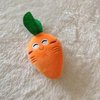 Juroicessry Orange Pet Supplies Dog Toy, Cute Carrot with Soft Squeaker, Carrot Shape Pet Plush Toy with Sound, Bite-Resistant Soft Comfortable Dog Toy Dog,Squeak Toys