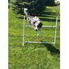 Dog Agility Equipment Single Bar Jumps | Set of 2 Jumps