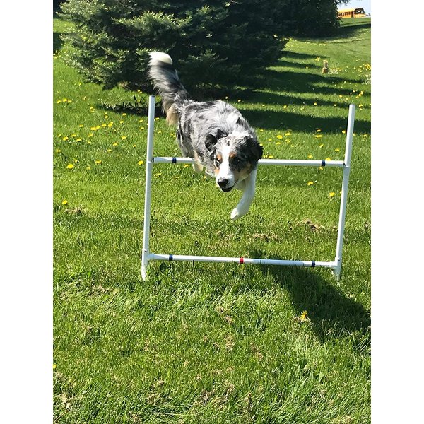 Dog Agility Equipment Single Bar Jumps | Set of 2 Jumps