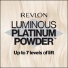 Revlon Color Effects Permanent Highlighting Kit, Ammonia & Paraben Free Hair Dye, 60 Platinum, 8 Oz (Pack of 1)
