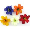 2" Multi Colors Lily 5 Piece Lot Silk Flower Hair Clips