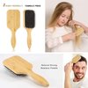 BESTOOL Hair Brush, Boar & Nylon Bristle Brush for All (Women, Men, Kids) Wet/Dry Hair, Massaging Detangling, Enhance Shine & Health (Square, Black)