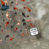 Lucky Fish Nail Art Stickers 5D Koi Nail Decals Embossed Wish Fish Self Adhsive New Year Sticker for Women Girls DIY Nails Manicure Salon (Lucky Fish)
