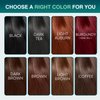 Black Hair Dye Shampoo Gray Hair Coverage for Women Men, Natural Herbal Petal Hair Color Shampoo 3 In 1, champu para canas