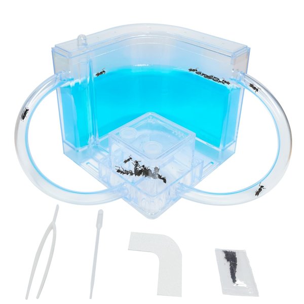 EXBEPE Ant Farm for Kids Gel Ant Castle Colony Ecosystem Terrarium kit, Ant Habitat Science Learning Kit