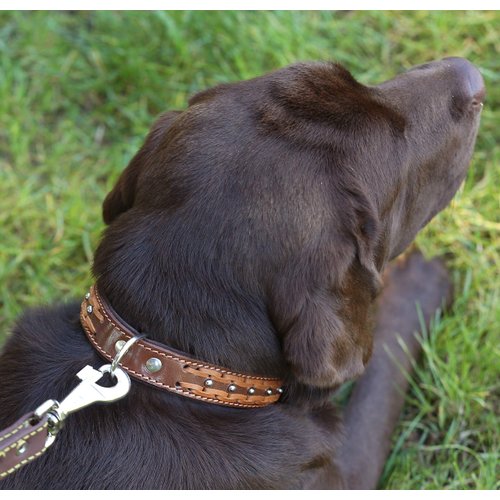 Genuine Leather Braided Studded Dog Collar, Brown 1.25" Wide. Fits 16"-20.5" Neck.