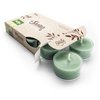 Bayberry Fir Premium Tealight Candles - Highly Scented with Essential Oils - 6 Green Tea Lights - Beautiful Candlelight - Made in The USA - Christmas & Holiday Collection