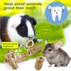 Abizoo Natural Bunny Chew Toys,6 Pcs Organic Papaya Wood Sticks Chew Toys for Rabbit,Hamster,Guinea Pig,Chinchilla,Gerbil,Rat Healthy Chews Teeth Grinding Treats, Squirrel Molar Snack