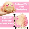 Hedgehog Stress Balls for Adults Squishy Toys (1PCS) Autism Sensory Toys Stress Ball, Fidget Toys for Kids Dough Ball, Party Favors Animal Toys Sensory Balls, Sensory Toys for Autistic Children (Pink)