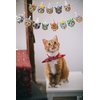 Cat Happy Birthday Banner,Photographic Cat Faces Birthday Garland,Party Bunting Decoration for Boy and Girl,Baby Shower Party Supplies for Cat Theme Party Favors