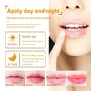 3 PCS Bee Lip Mask Honey Pot Lip Balm,Strawberry Watermelon Lip Mask Overnight Hydrating Dry and Crack Lip Scrubs Exfoliator Propolis Lip Sleeping Mask (Strawberry & Watermelon & Honey)