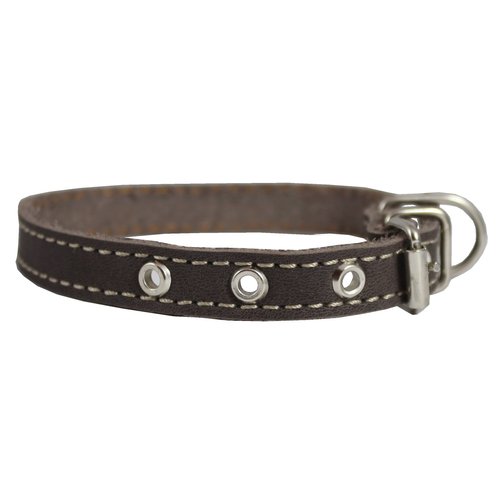 Brown Real Leather Dog Collar 9.5"-13" Neck Size, 1/2" Wide Yorkshire Terrier, Puppies