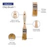 Pro Grade - Chip Paint Brushes - 12 Ea 1 Inch Chip Paint Brush Light Brown
