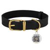 BRONZEDOG Leather Dog Collar with QR ID Tag Basic Pet Collars for Small Mini Dogs Cats Puppies (9-11 Inch (Pack of 1), Black & Gold Buckle)