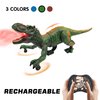 Remote Control Dinosaur Toys for Kids 3-5, 5-7, 8-12, 10-12, Electronic RC T Rex Dino Robot Toy for Boys, Top Christmas & Birthday Gifts for 6 7 8 9 10 11 & 12 Year Old Boys (Color: Green)