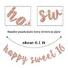 RoadSea Happy Sweet 16 Banner - Girl 16th Birthday Party Garland Supplies- Happy 16th Birthday Party Decorations - Rose Gold Glitter