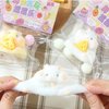 Generic Cat Squishy Squeeze Toys, Cat Paws Squishy Toys, Stress Relief Squishies for Kids Party Favors, Pinch Family Squishy Toys, Fidget Toys Squishy Suitable Adults Kids (White Hamster), Small