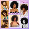 MIMAN Short Afro Wigs for Black Women Human Hair Wig Natural Black Kinky Curly Hair Replacement Wigs 60s 70s Disco Queens Halloween Costume Wig