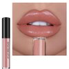 Kayswnag 12 Color Cream Texture Waterproof Lipstick, Lip Gloss Lip Lust Creme Lipgloss Liquid Lipstick,Waterproof Long Lasting Velvet Lip Gloss (02#)