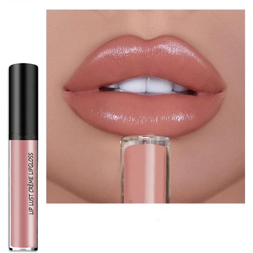 Kayswnag 12 Color Cream Texture Waterproof Lipstick, Lip Gloss Lip Lust Creme Lipgloss Liquid Lipstick,Waterproof Long Lasting Velvet Lip Gloss (02#)