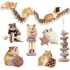 Hamster Toy Hamster Accessories Guinea Pig Chew Toy Hamster Suspension Bendy Long Bridge Toy Chinchilla Cage Accessories Willow Ball Play Set Stuff for Dwarf Syrian Chinchillas Gerbils Mice Mouse