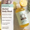 Herbal Body Wash, Eucalyptus Lime by Moon Valley, All Natural Ingredients, No Parabens, Vegan, Moisturizing Essential Oils, Two Pack