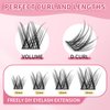 Lash Clusters 100PCS Cluster Lashes Wispy Fluffy D Curl Super Thin Band Eyelash Cluster Natural Volume Reusable DIY Eyelash Extensions at Home (10-16mm Mix)