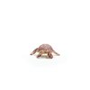 Schleich Wild Life New 2024 Wild Animal Toy Hawskbill Sea Turtle Ocean Animal Figurine