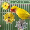 Bird Cage Toys Parakeet, Colorful Interactive Spinner Rattle Parrot Toy, Wall Hanging Small Bird Chewing Toy, Bird Nest Enrichment Toy Accessories for African Grey, Macaws, Budgerigar, Cockatiel(2pcs)