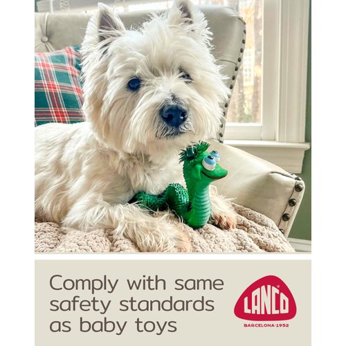 Smiley Snake Sensory Squeaky Rubber Dog Toy for Small & Medium Dogs (Green) Natural Rubber (Latex) Lead Chemical-Free Soft Unstuffed