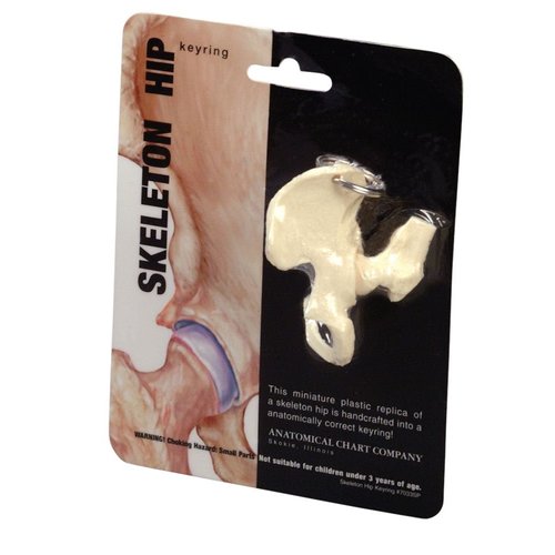 Anatomical Chart Co. - Hip Key Ring - -