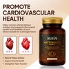 Maia Nattokinase Supplement, Contains 5000 FU of Nattokinase, Reduce Plaque and Promote Cardiovascular Health, Enhance Blood Circulation,60caps (1)
