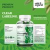 Wild & Organic Chlorophyll Gummies 50mg - Chlorophyll Supplements for Detox Cleanse - Internal Deodorant w/Sodium Copper Chlorophyllin - Chlorophyll Herbal Supplement - 60 Chlorophyll Powder Chews