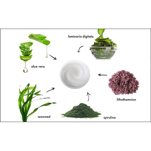 Raya Ultra-Light Seaweed Cream (304) | Anti-Aging Moisturizer for Oily, Break-Out Skin | Hydrating Face Cream Reduces Fine Lines, Wrinkles | Best Facial Moisturizer for Dry, Aging Skin | Controls Oil